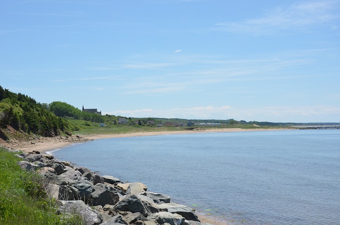 Murphy's Pond Beach 3.jpg
